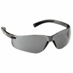 ECHO Jet Glasses OEM #102922451